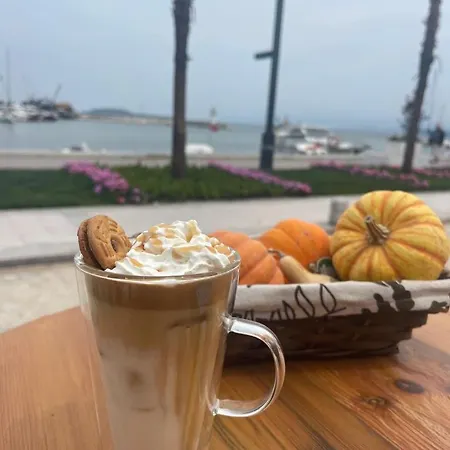 Urla Marin